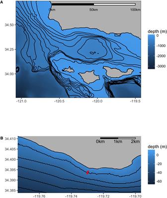 Variability of Seawater Chemistry in a Kelp Forest Environment Is Linked to in situ Transgenerational Effects in the Purple Sea Urchin, Strongylocentrotus purpuratus